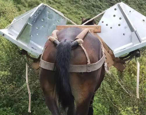 雷波县山区马帮运输电话